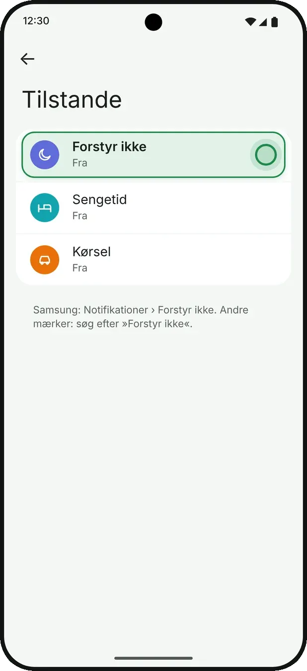 Tjek Fokus eller Forstyr ikke – 2