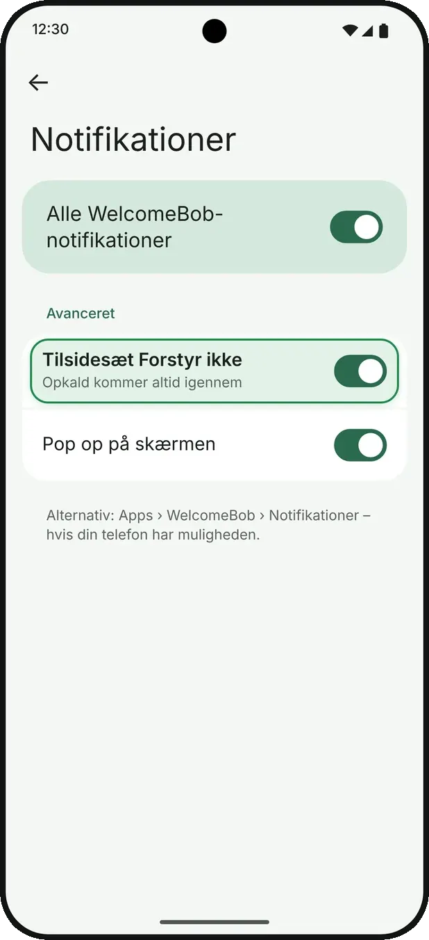 Alternativt: i WelcomeBobs notifikationer kan du slå »Tilsidesæt Forstyr ikke« til.
